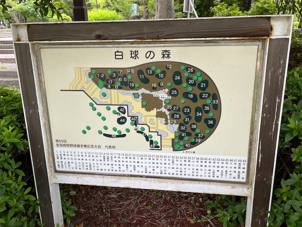 f:id:epokopoko:20240429192457j:image f:id:epokopoko:20240429192457j:image