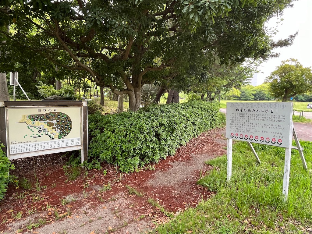 f:id:epokopoko:20240429192508j:image f:id:epokopoko:20240429192508j:image