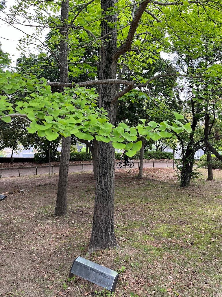 f:id:epokopoko:20240429192511j:image f:id:epokopoko:20240429192511j:image