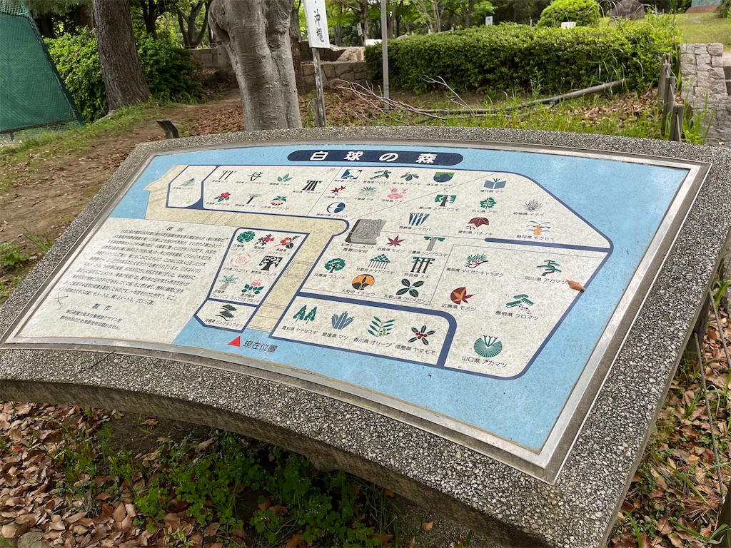 f:id:epokopoko:20240429192531j:image f:id:epokopoko:20240429192531j:image