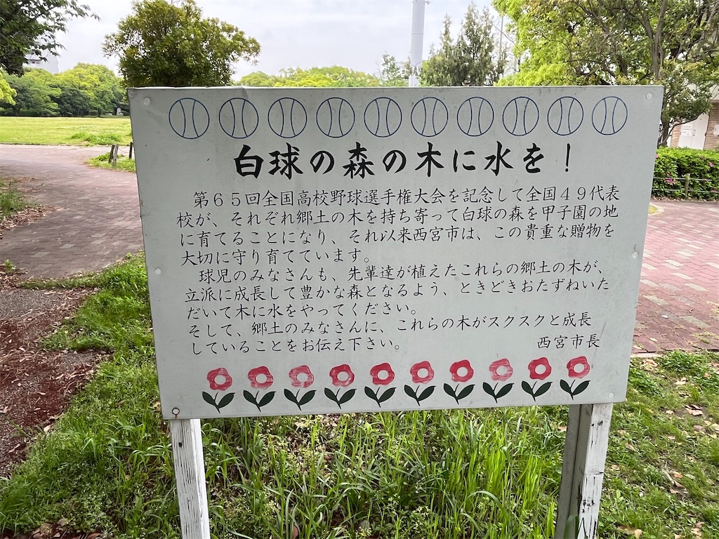 f:id:epokopoko:20240429192534j:image f:id:epokopoko:20240429192534j:image