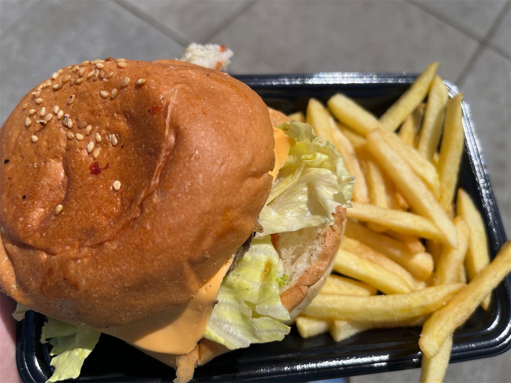 f:id:epokopoko:20240511234027j:image