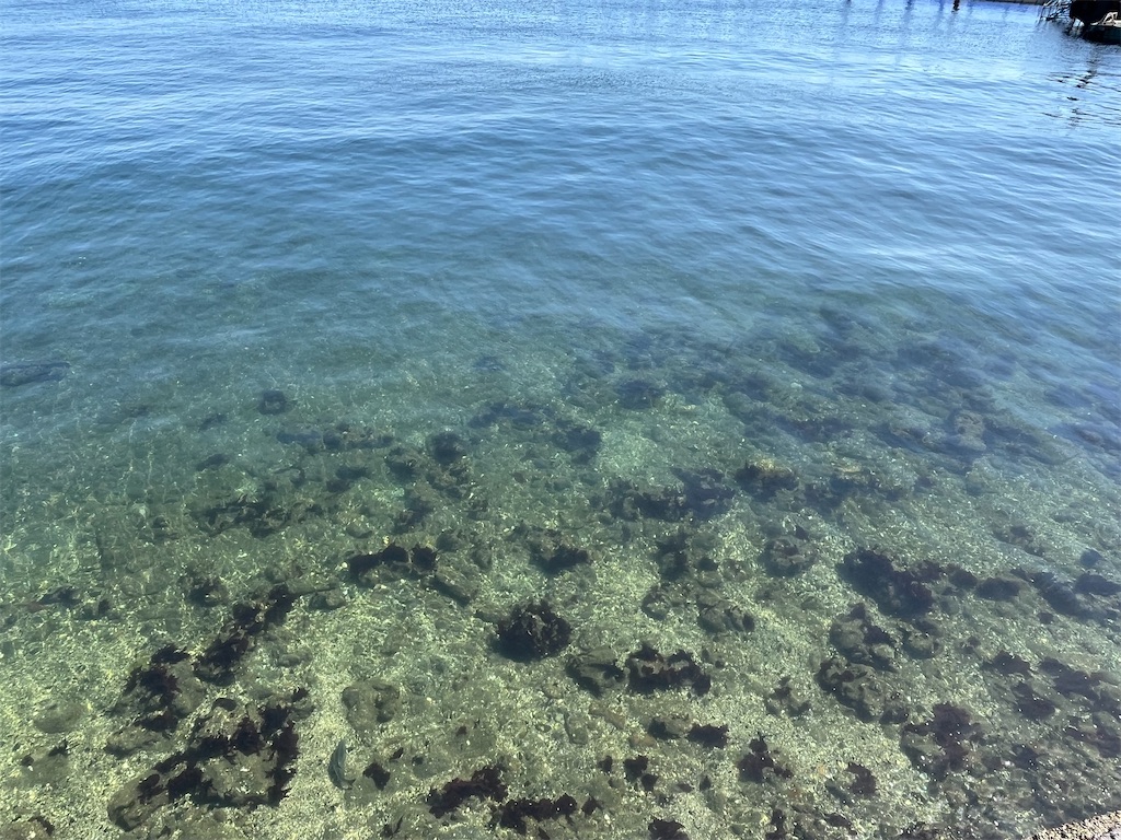 f:id:epokopoko:20240511234123j:image