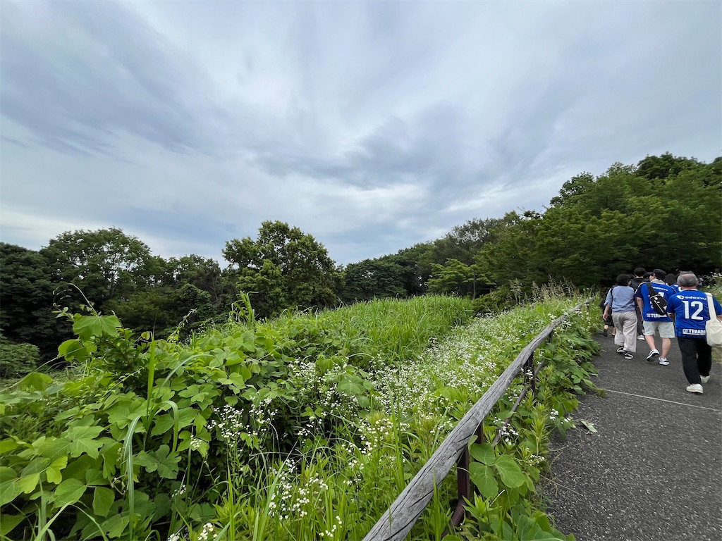 f:id:epokopoko:20240622204609j:image