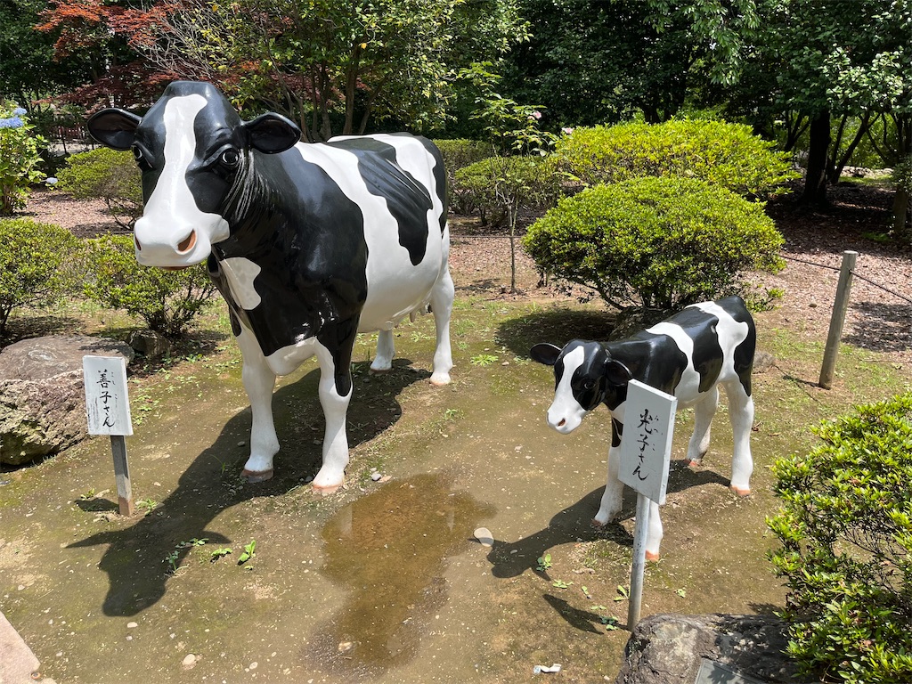 f:id:epokopoko:20240718084729j:image