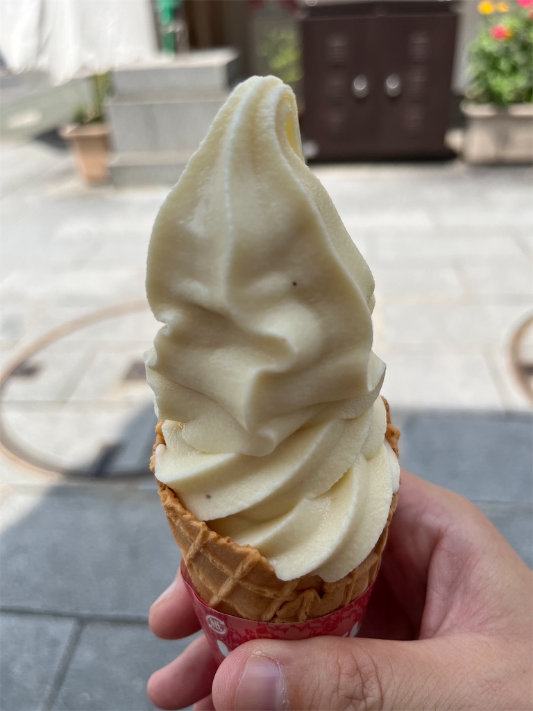 f:id:epokopoko:20240718085316j:image