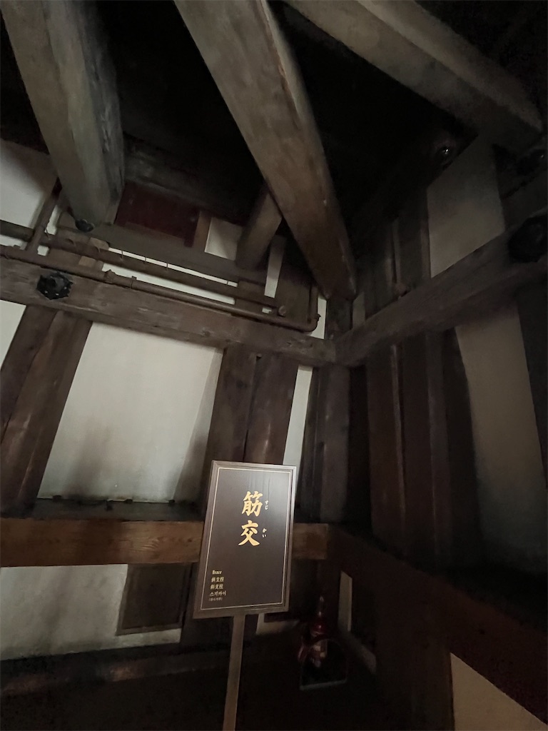 f:id:epokopoko:20240722065610j:image