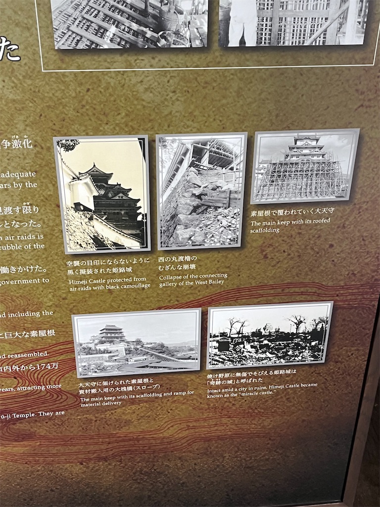 f:id:epokopoko:20240722065631j:image