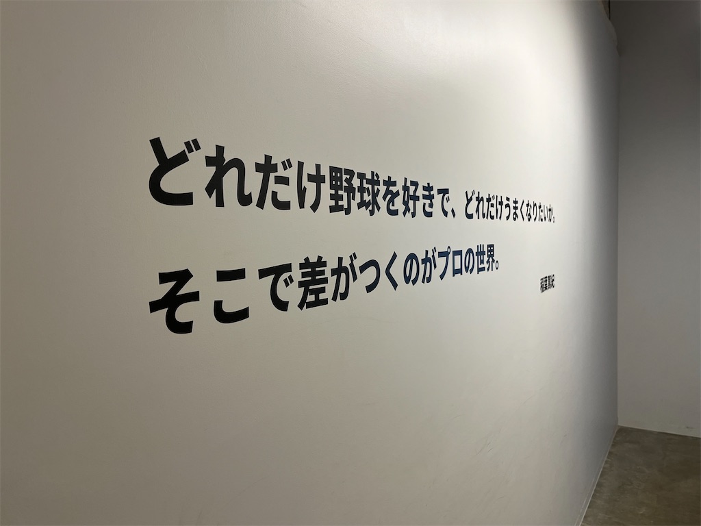 f:id:epokopoko:20240809213656j:image