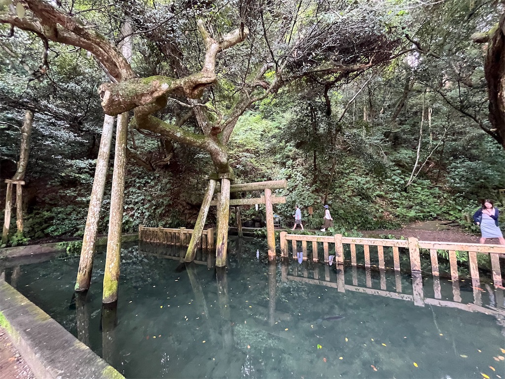 f:id:epokopoko:20240923194612j:image
