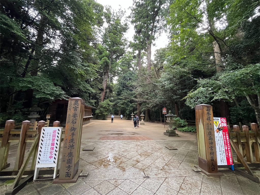 f:id:epokopoko:20240923194627j:image