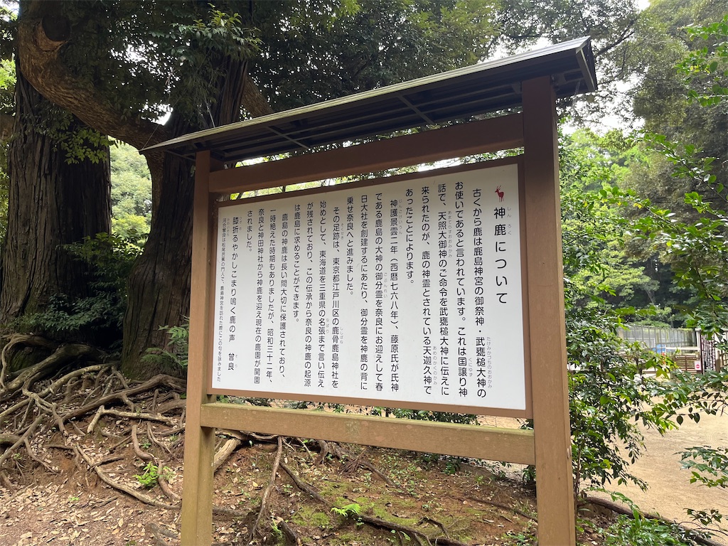 f:id:epokopoko:20240923195213j:image