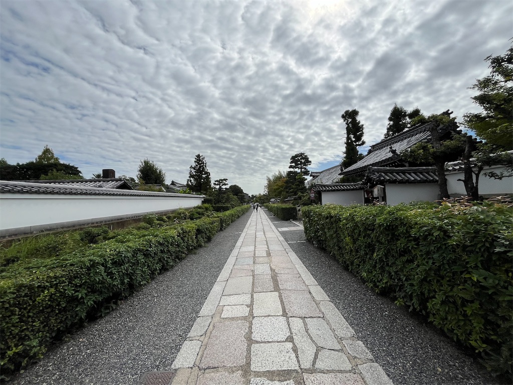f:id:epokopoko:20241007195539j:image f:id:epokopoko:20241007195539j:image