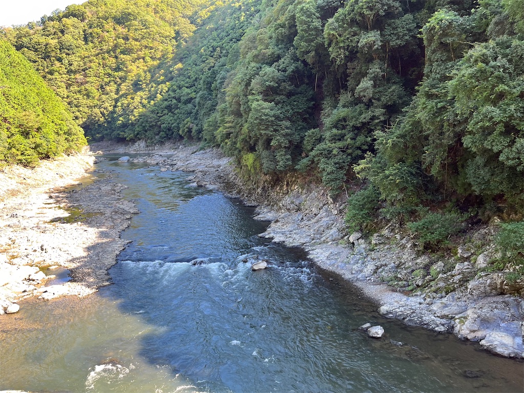 f:id:epokopoko:20241007195619j:image f:id:epokopoko:20241007195619j:image