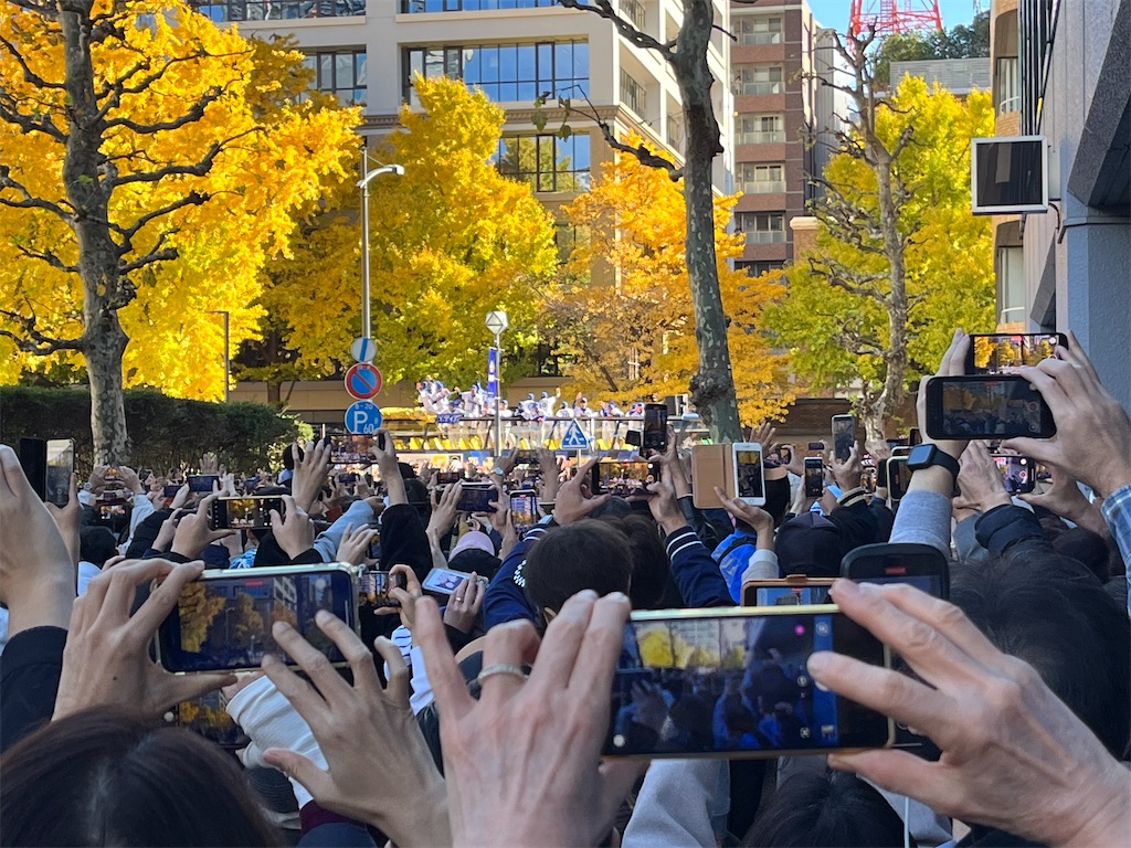 f:id:epokopoko:20241130144146j:image