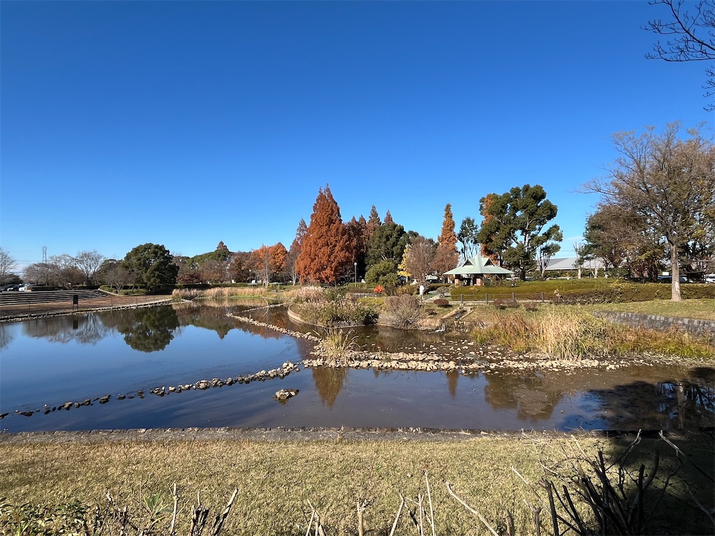 f:id:epokopoko:20241207212608j:image