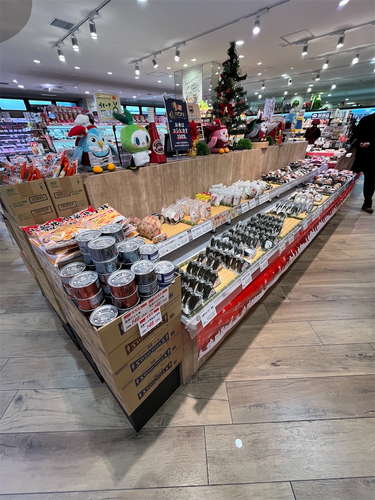 f:id:epokopoko:20241207215156j:image