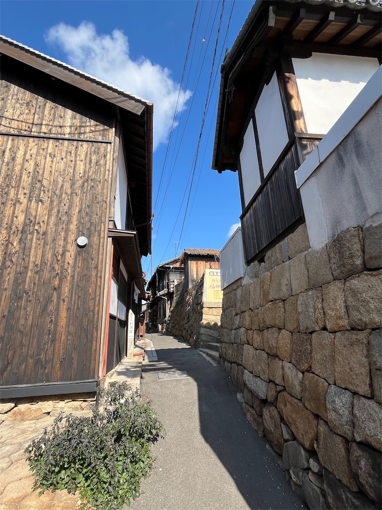 f:id:epokopoko:20250211192906j:image