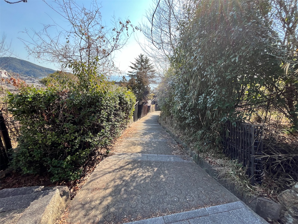 f:id:epokopoko:20250211192955j:image