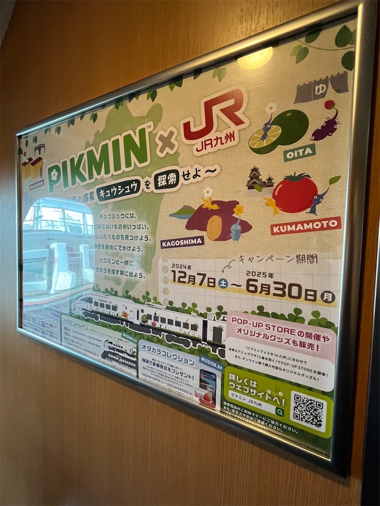 f:id:epokopoko:20250211192958j:image