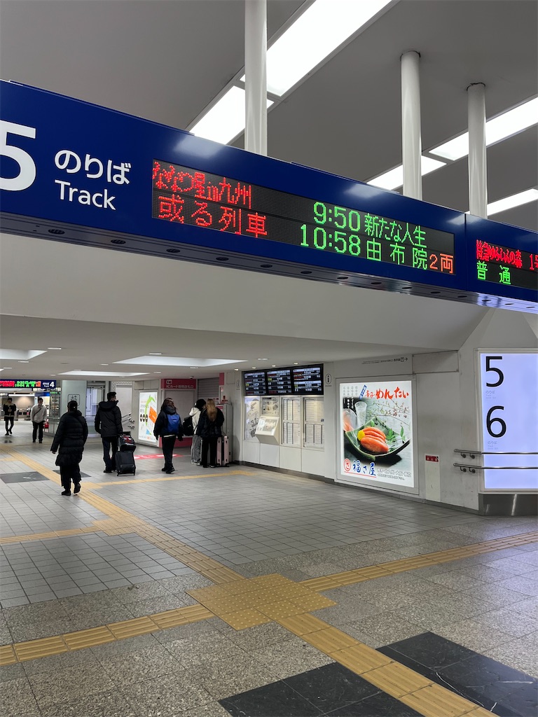 f:id:epokopoko:20250228194416j:image f:id:epokopoko:20250228194416j:image