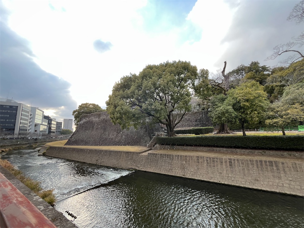 f:id:epokopoko:20250228194835j:image