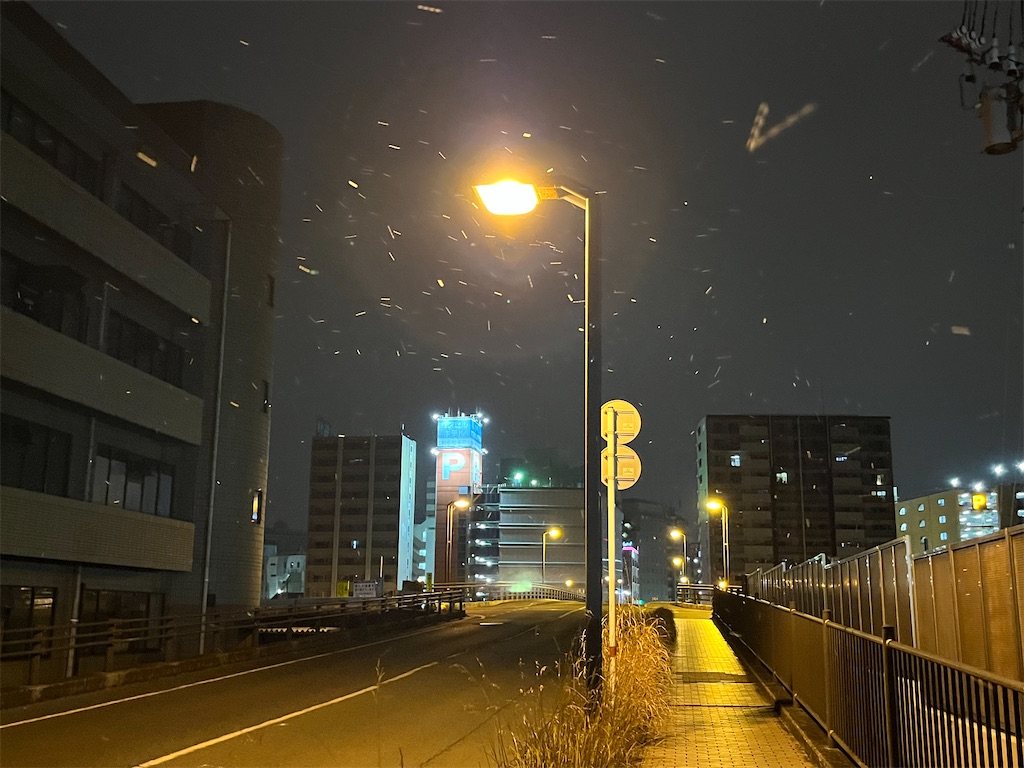 f:id:epokopoko:20250228194841j:image