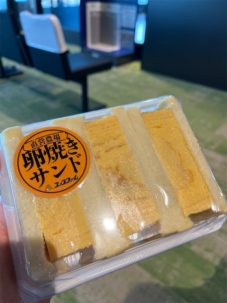 f:id:epokopoko:20250228194848j:image