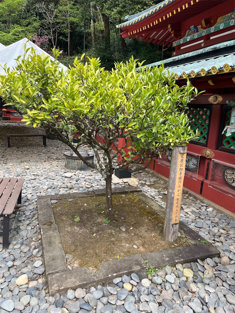 f:id:epokopoko:20250417204639j:image