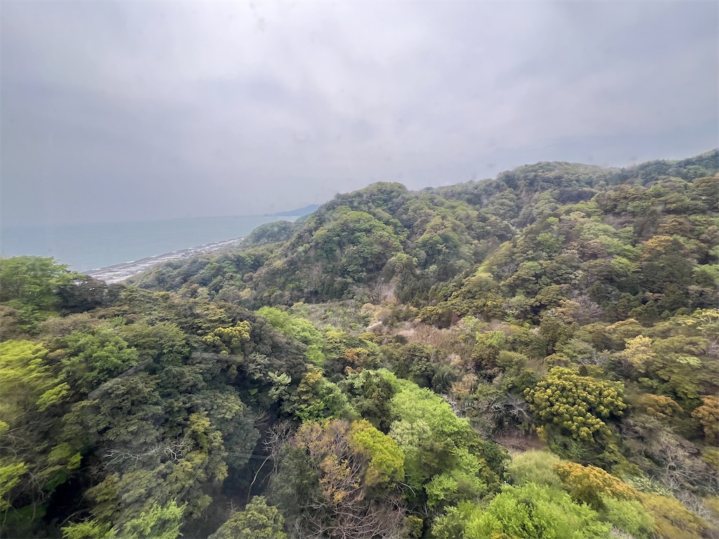 f:id:epokopoko:20250417204722j:image