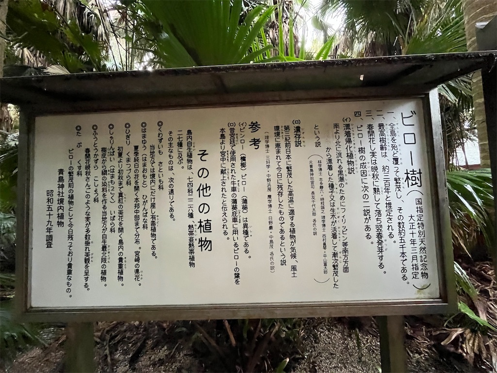 f:id:epokopoko:20250520213438j:image