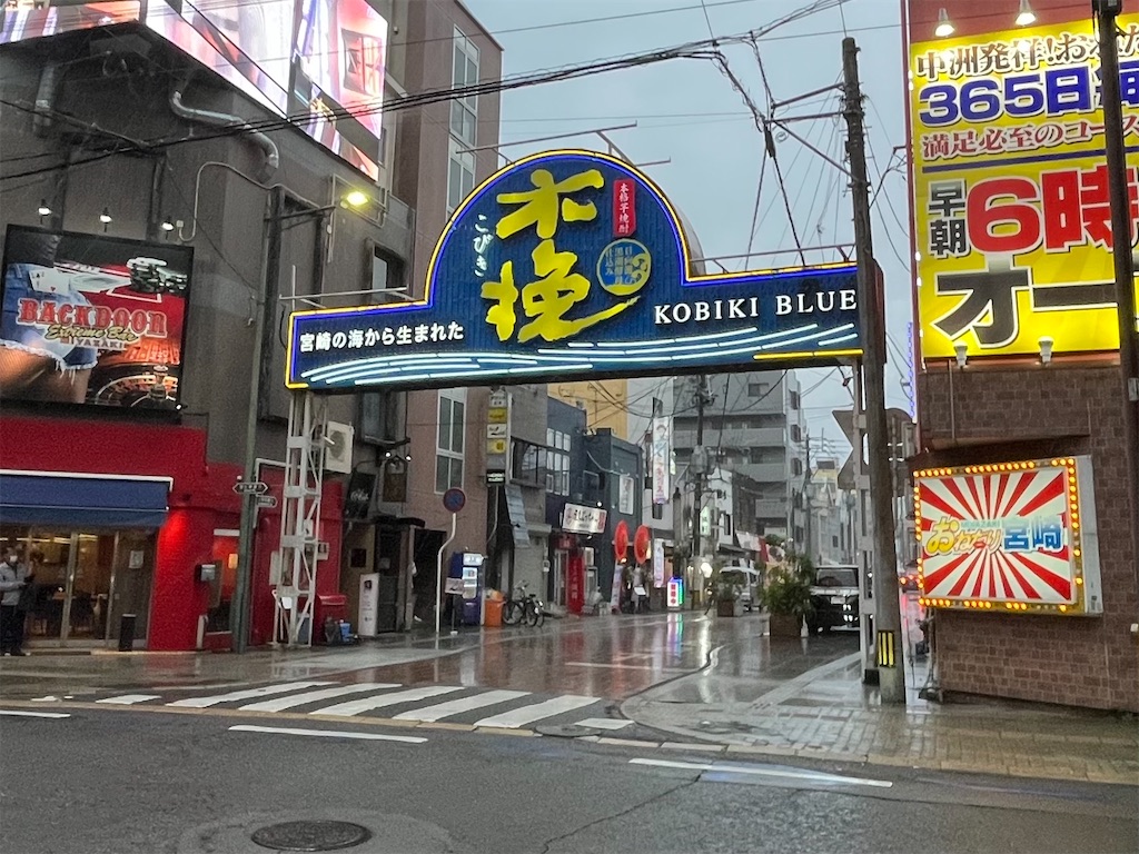 f:id:epokopoko:20250520213521j:image