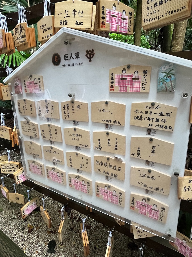 f:id:epokopoko:20250520214143j:image