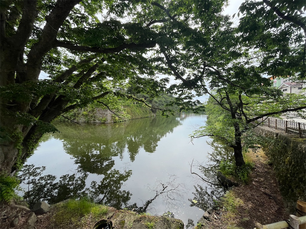 f:id:epokopoko:20250608043825j:image