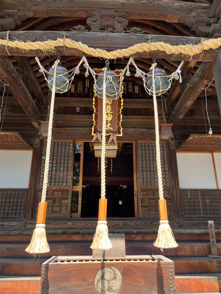 f:id:epokopoko:20250608043905j:image