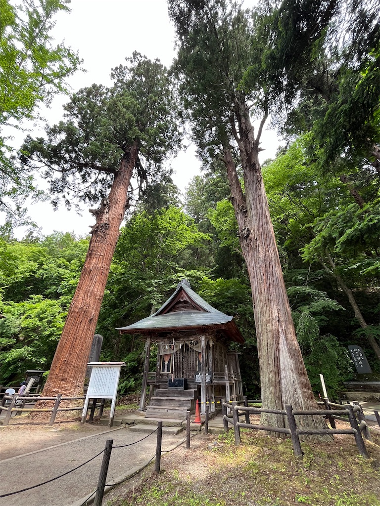 f:id:epokopoko:20250608044014j:image