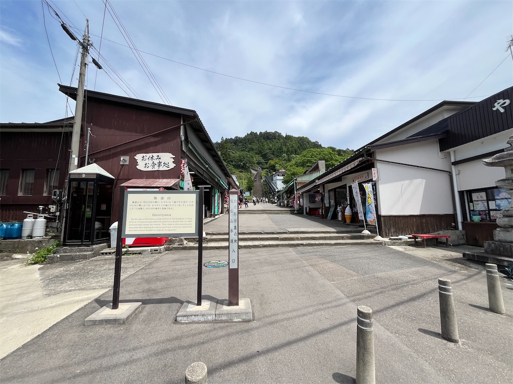 f:id:epokopoko:20250608044108j:image