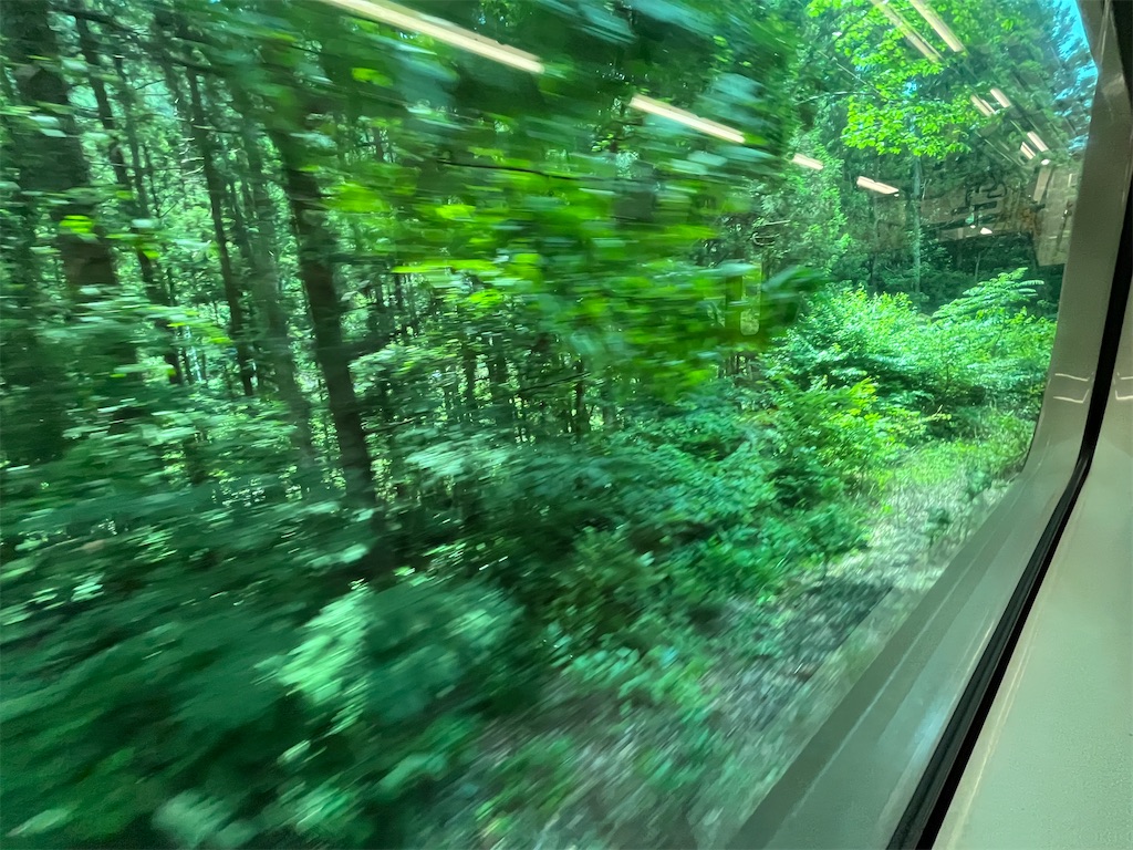 f:id:epokopoko:20250608044220j:image