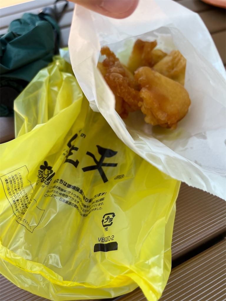 f:id:epokopoko:20250704082945j:image