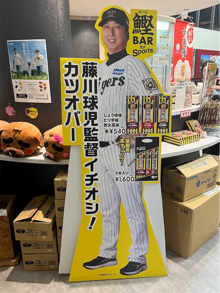 f:id:epokopoko:20250704083040j:image