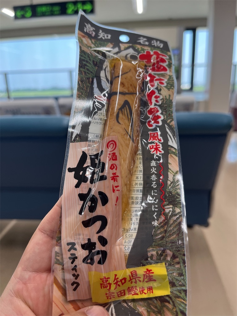 f:id:epokopoko:20250704083204j:image