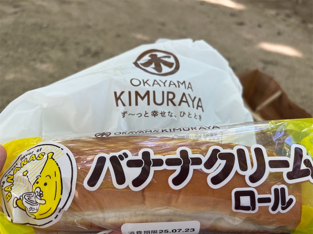 f:id:epokopoko:20250721073118j:image