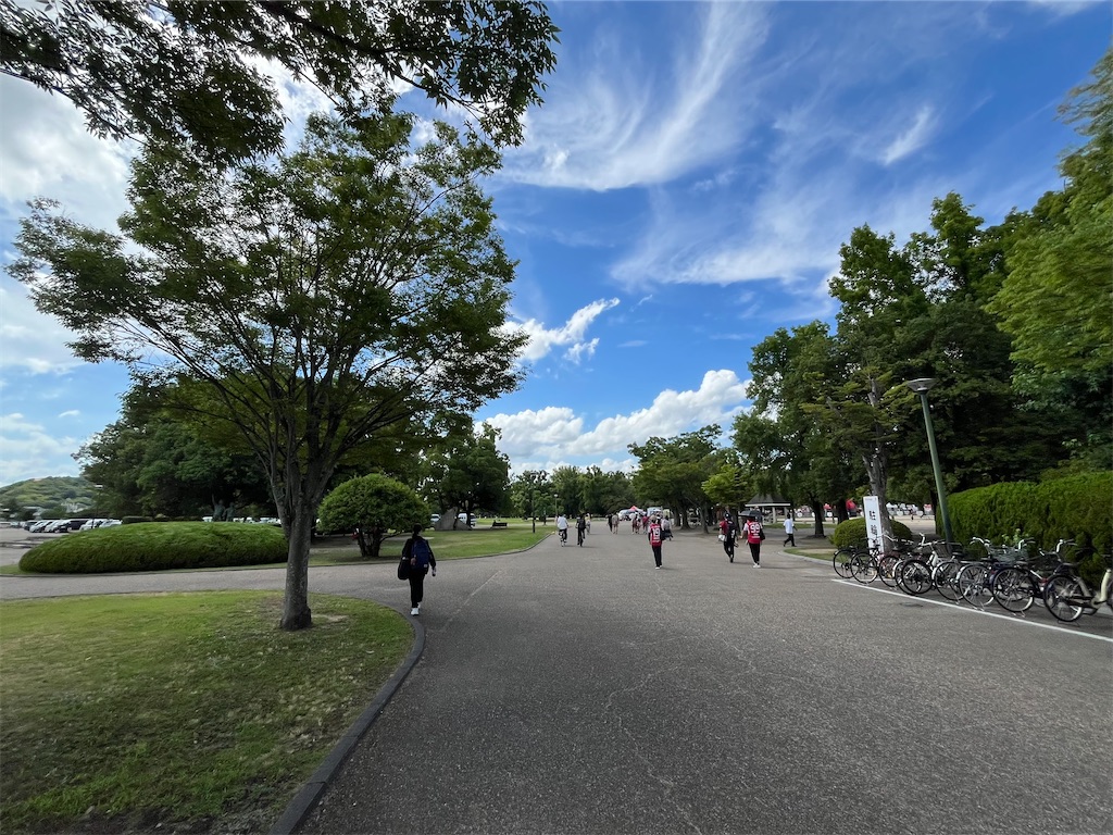 f:id:epokopoko:20250721073151j:image