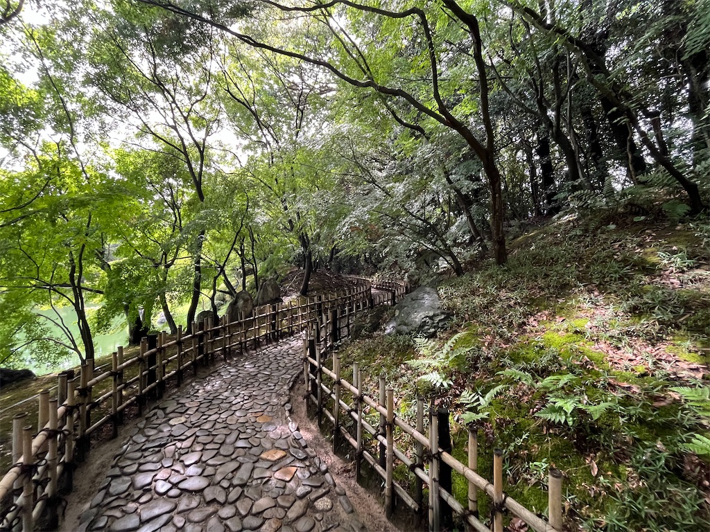 f:id:epokopoko:20250727080044j:image