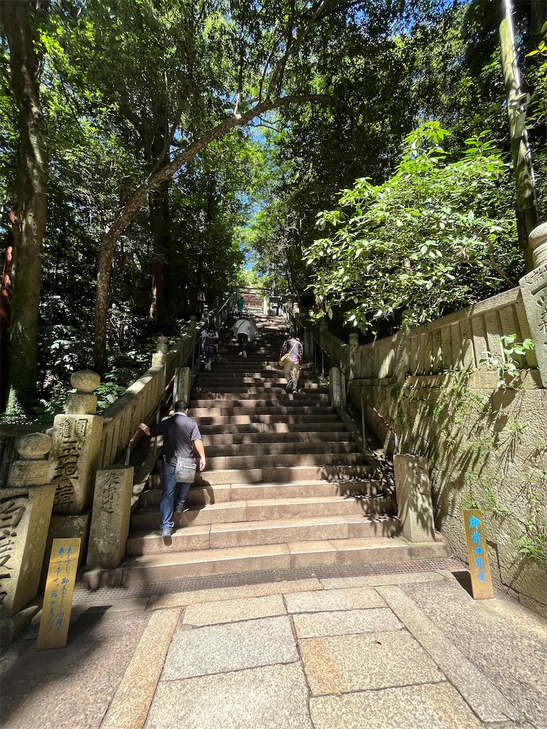 f:id:epokopoko:20250727082925j:image
