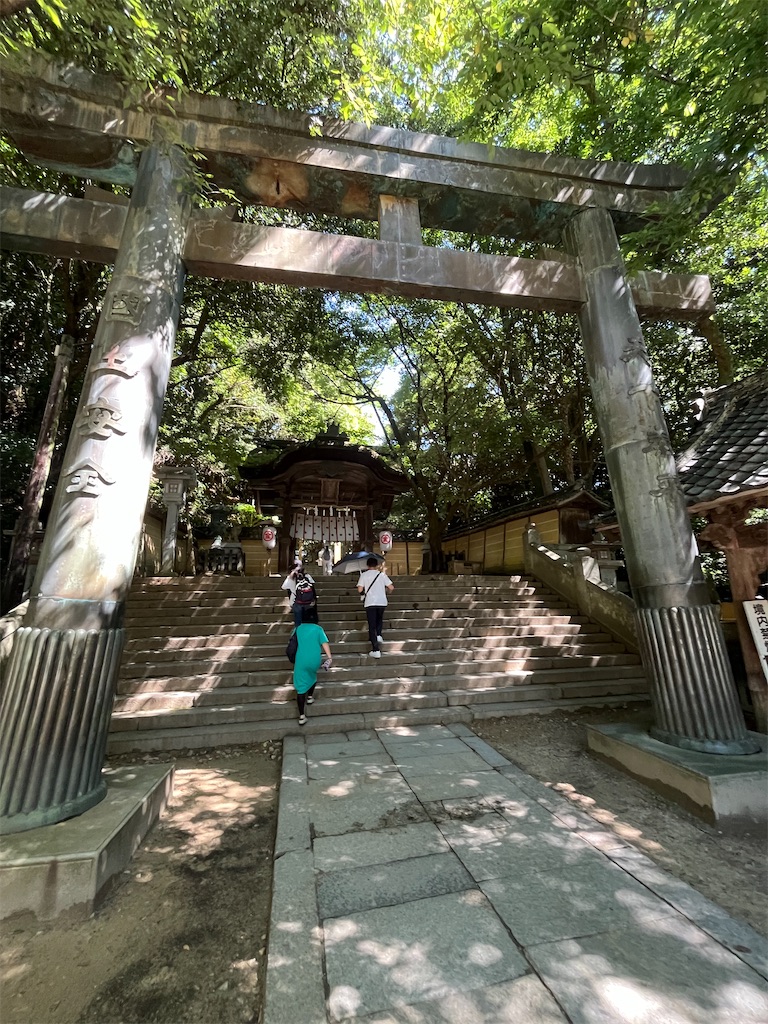 f:id:epokopoko:20250727083609j:image