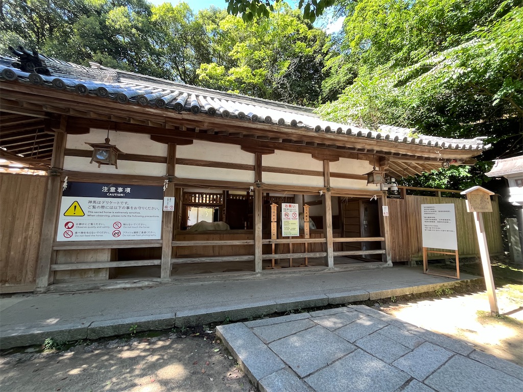 f:id:epokopoko:20250727083733j:image