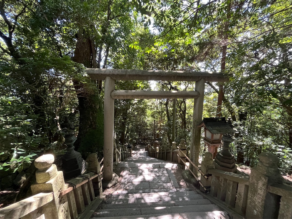 f:id:epokopoko:20250727083907j:image