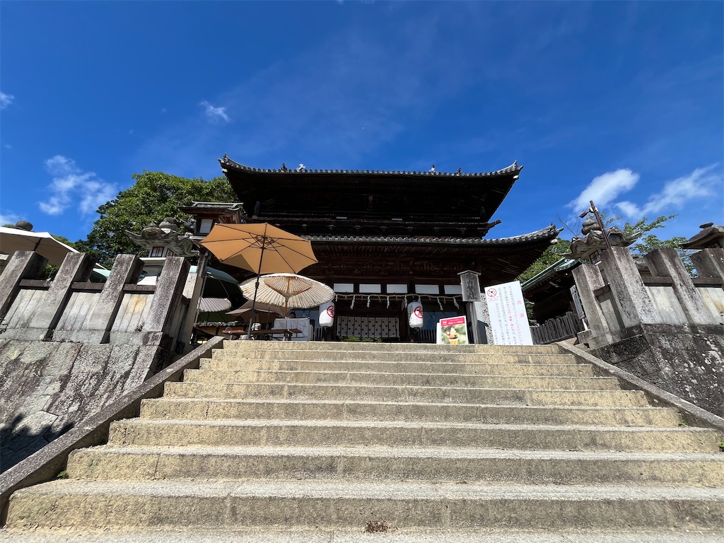 f:id:epokopoko:20250727083910j:image