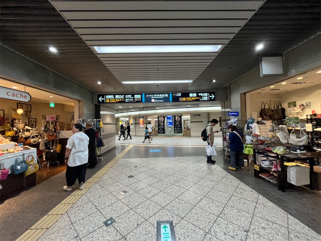 f:id:epokopoko:20250819211712j:image